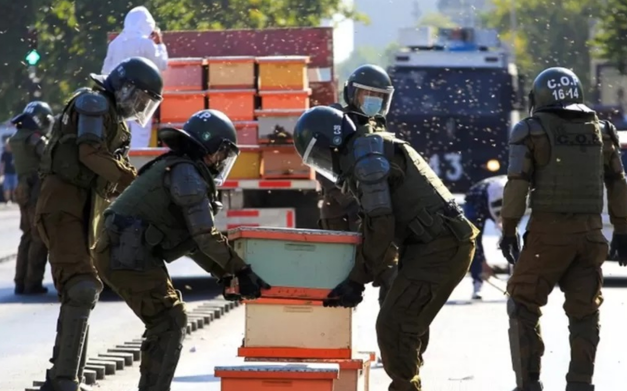 Şili’de arıcılar hükümeti protesto etti