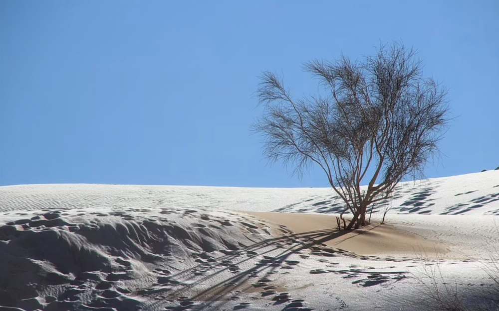 Sahra Çölü'ne kar yağdı