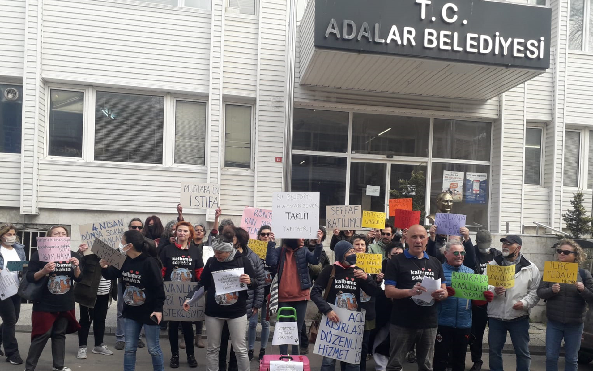 Adalar'da hayvanseverler isyan etti!