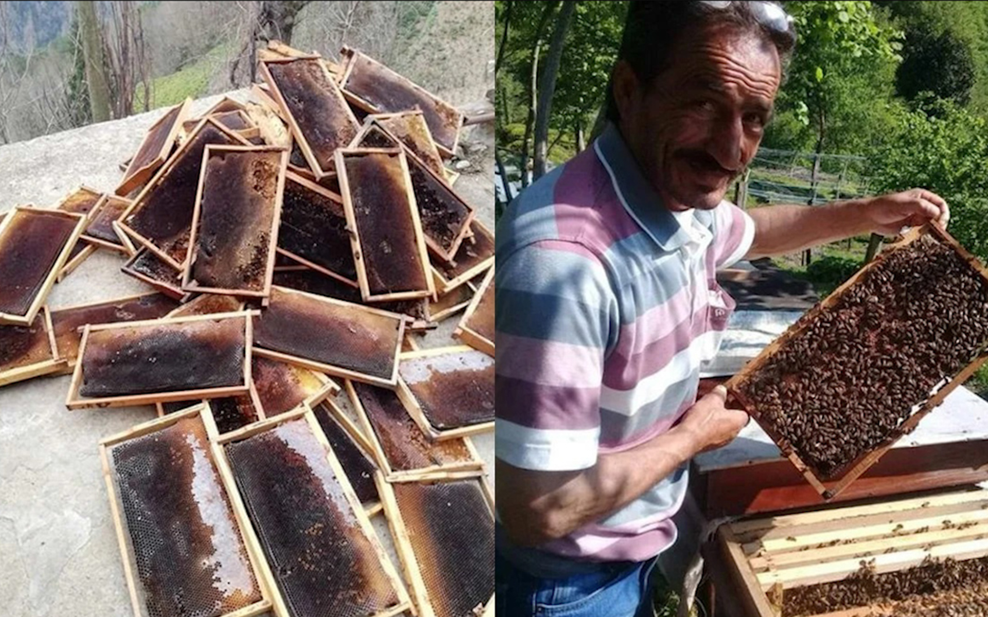 İkizdere’de 300 kovan arı öldü