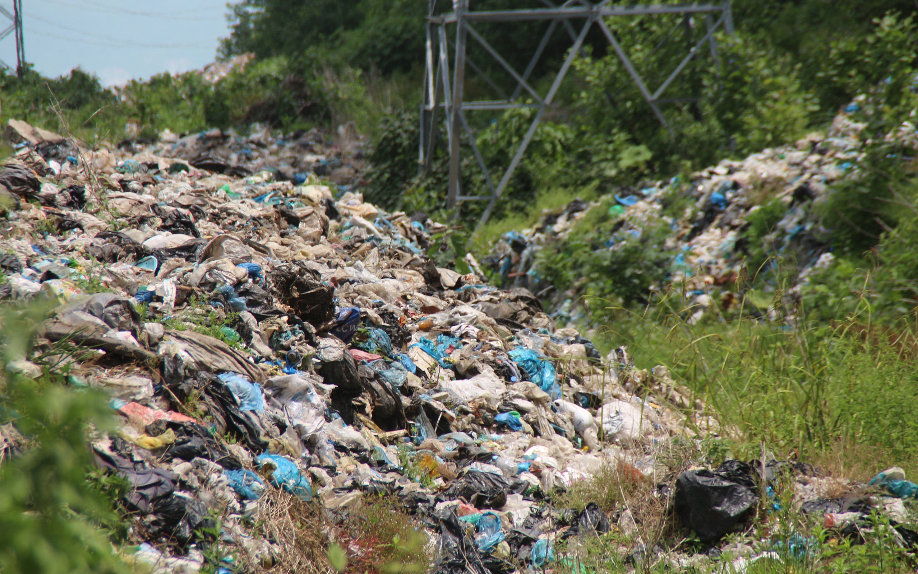 Karadeniz’deki atık çöp problemi büyüyor