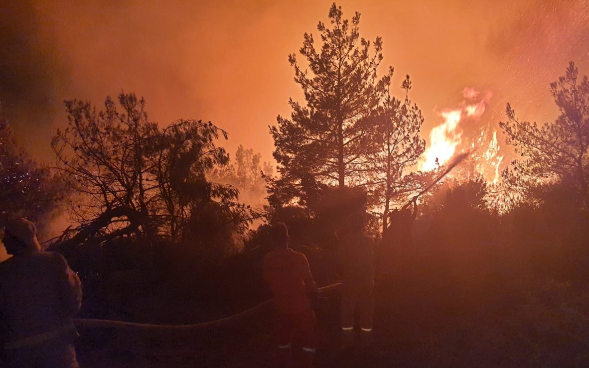 Manisa'da orman yangını kontrol altında