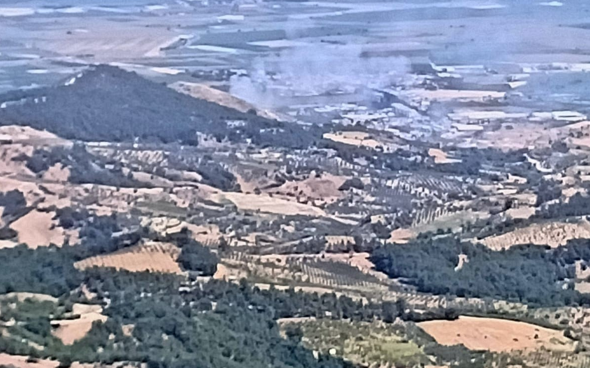 Manisa'da orman yangını başladı