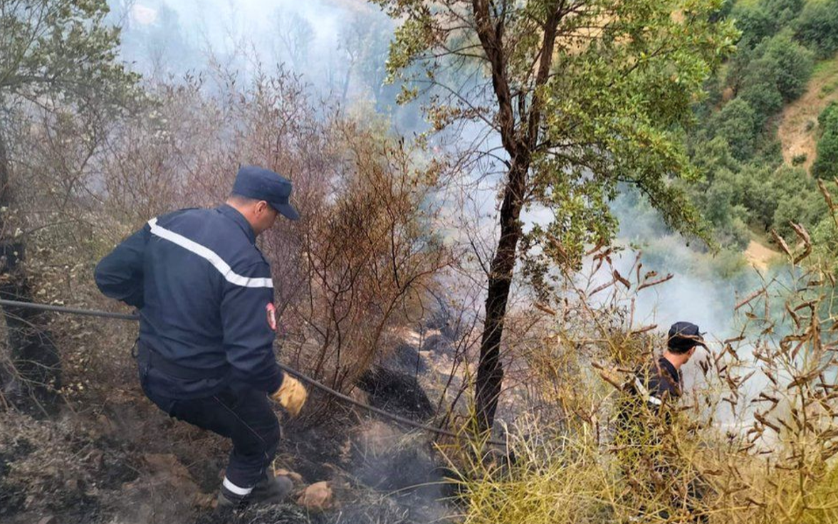 Cezayir'de orman yangınları: 41 kişi öldü