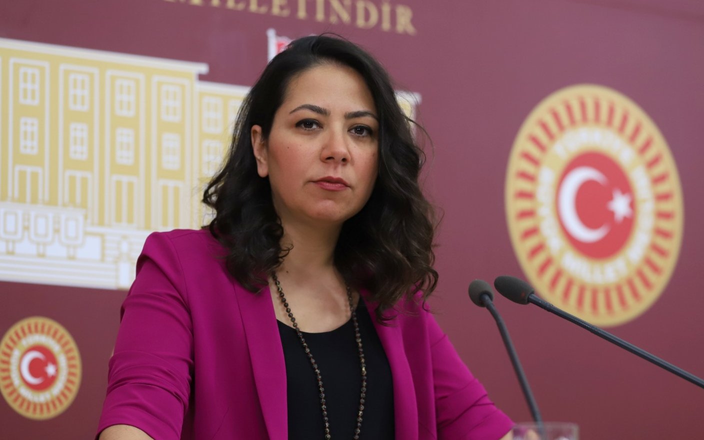 Kadıgil’den Anayasa teklifi yorumu: 'Bütün kadınların zaten güvencesi var, onun adı laiklik'