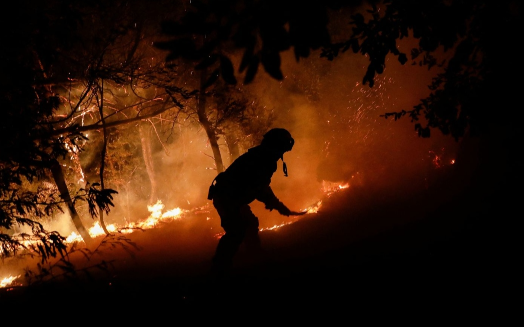 Orman yangınlarında ölü sayısı 22'ye yükseldi