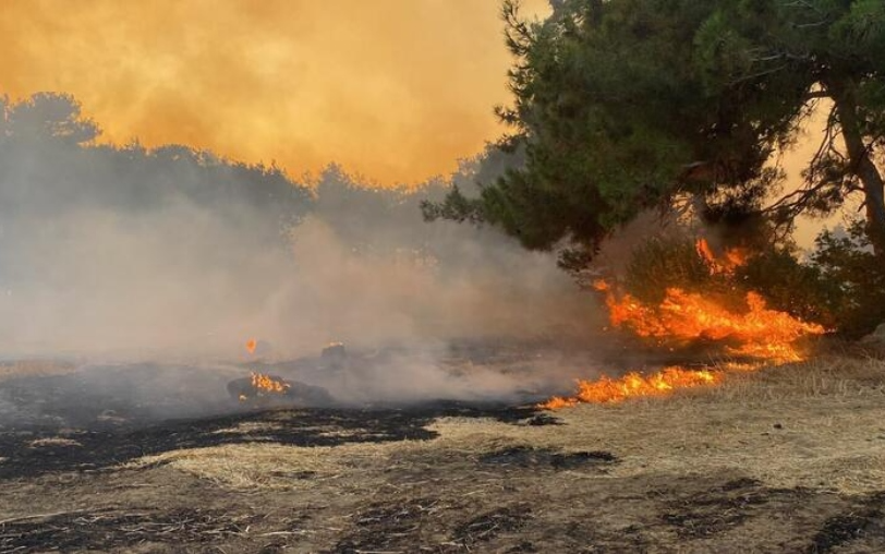 Çanakkale’deki orman yangını kontrol altına alındı