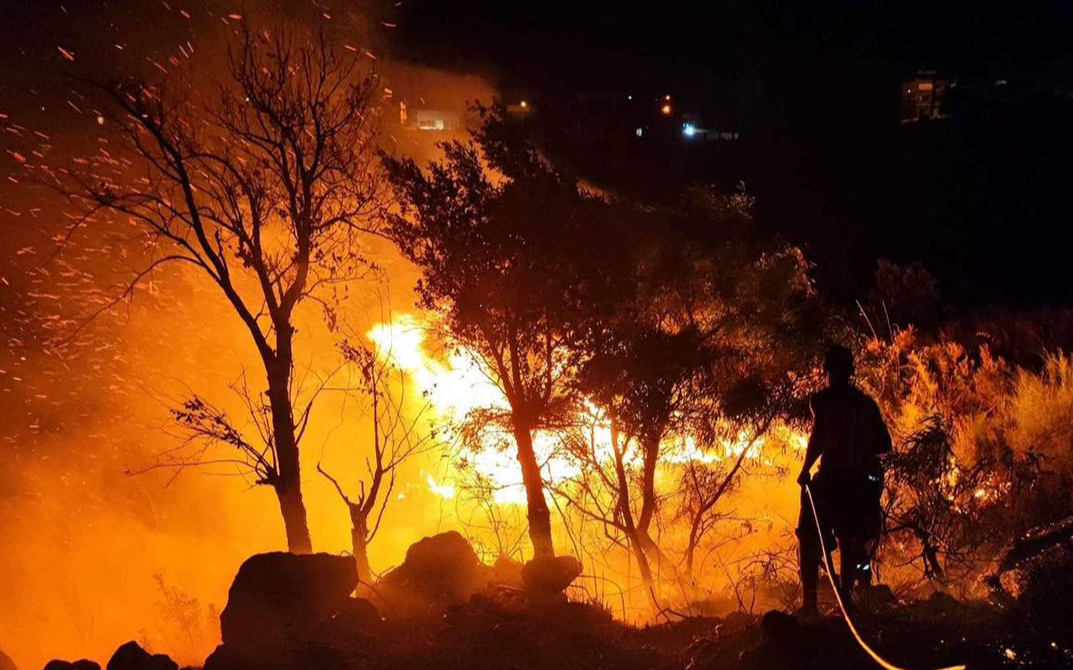 Cezayir'de orman yangınları: 34 ölü