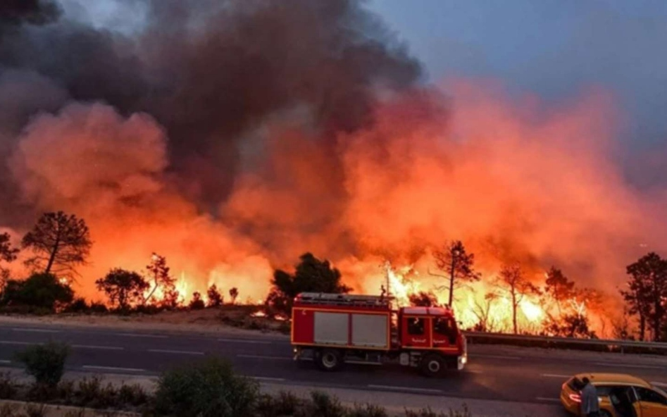 Yunanistan’da orman yangını kontrolden çıktı