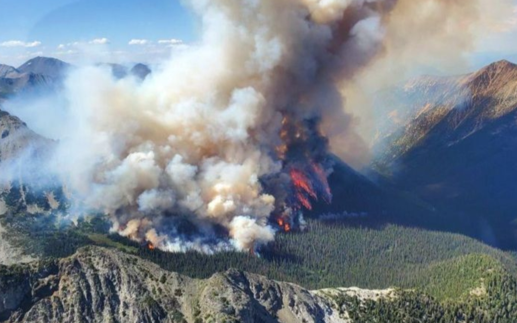 Orman yangınları nedeniyle bazı şehirler tahliye ediliyor