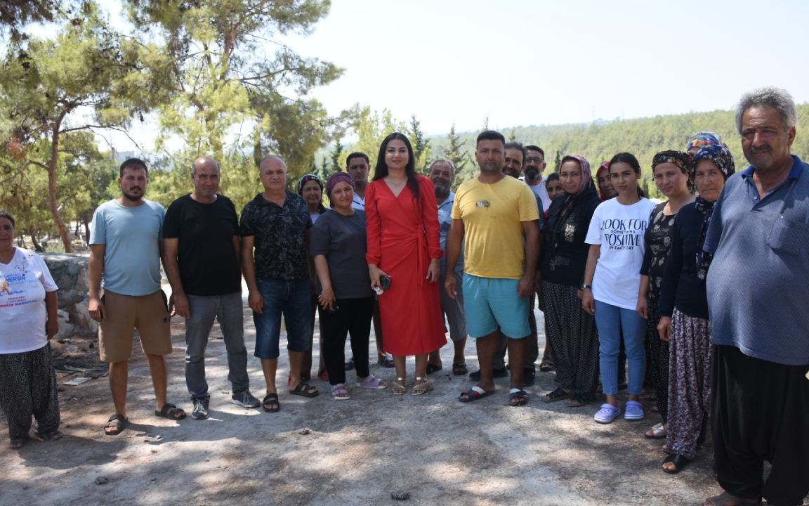 Mersin’de mezarlık için kızılçam ormanları katledilecek