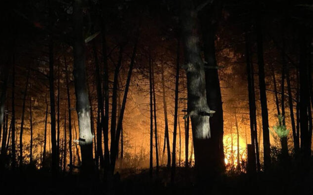 İstanbul'daki orman yangını kontrol altına alındı