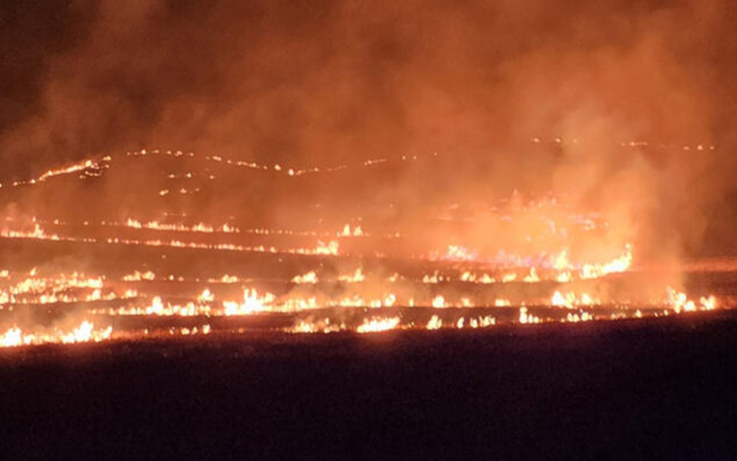Siirt'te anız yangını: 500 dönüm alan zarar gördü