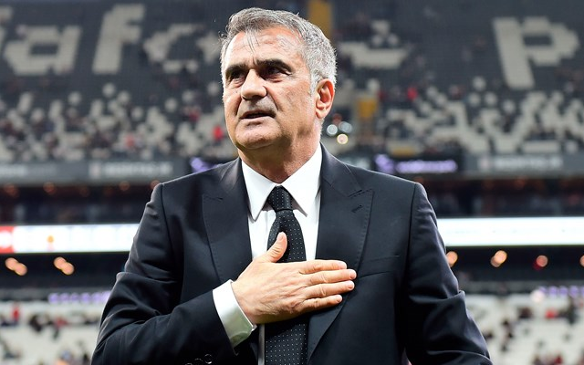 Beşiktaş'ta Şenol Güneş istifa etti, kulüp seçime gidiyor