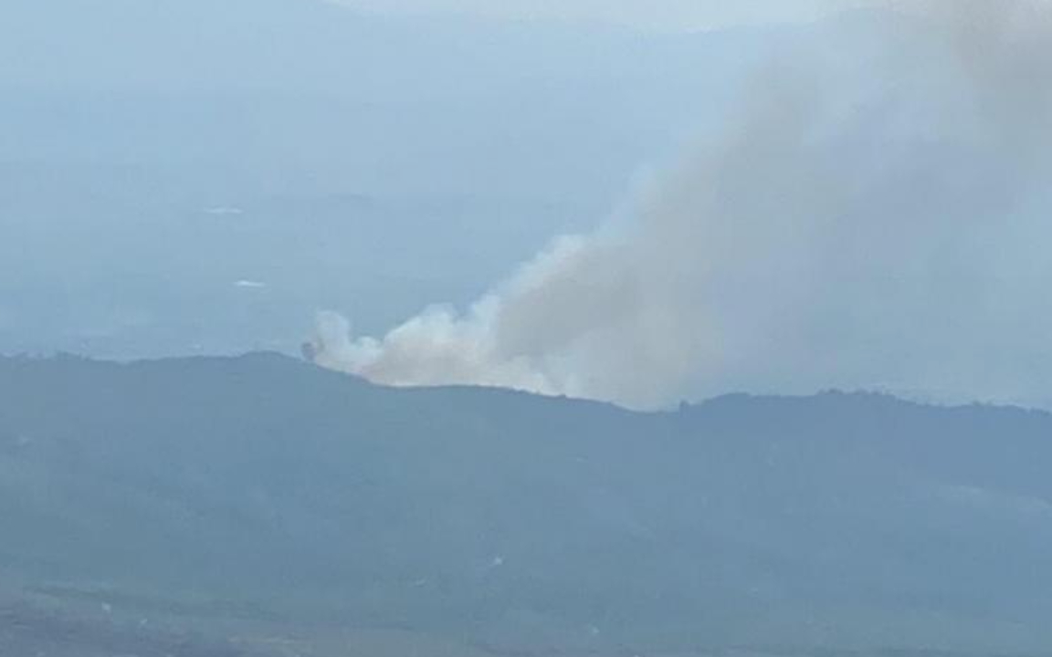 İzmir Bayındır’da orman yangını