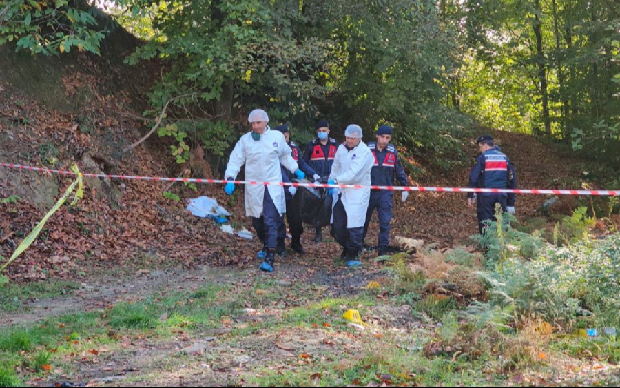 Yoksul ölümü ve sermaye birikimi