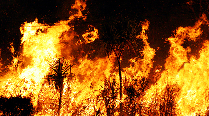 Orman Genel Müdürlüğü: Bugün çıkan 8 orman yangını kontrol altına alındı