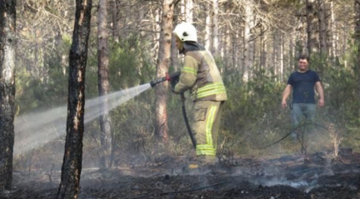 İstanbul Aydos ve Beykoz'da orman yangınları çıktı