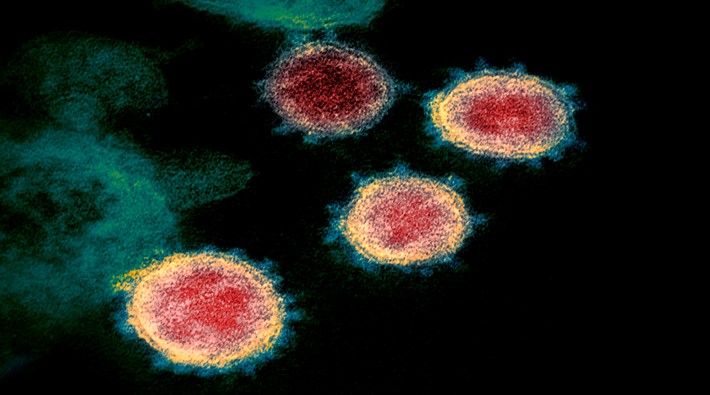 SARS virüsünü zayıflatan mutasyon koronavirüste de görüldü
