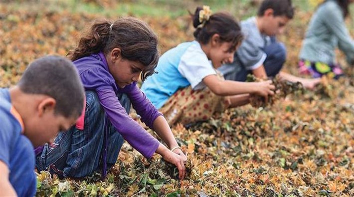 2018, 'Çocuk İşçiliği ile Mücadele Yılı' ilan edildi 