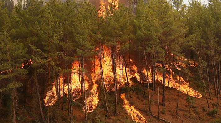 Manavgat yangınından yüzde 80 yanıkla kurtulan Hüseyin Gömes, kalp krizinden yaşamını yitirdi