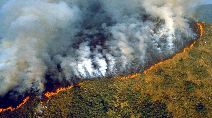 Brezilya'da Bolsonaro sonrası Amazon ormanları yangınlarla yok olma noktasında