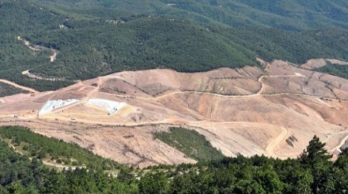 TEMA Vakfı hesapladı: Kaz dağları'nda 195 bin ağaç katledildi 