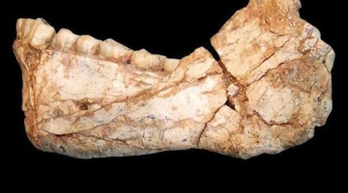 300 bin yıllık insan iskeleti kalıntısı bulundu