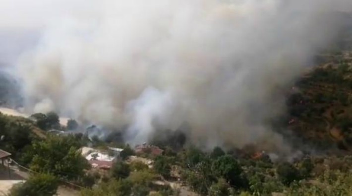 Mersin'de orman yangını: 50 hane boşaltıldı