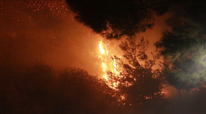 Adana'da yangın: 15 dekarlık alan ve 3 hektar orman zarar gördü