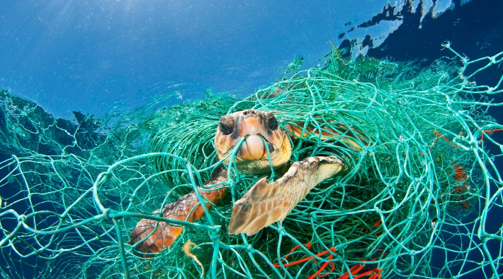 Akdeniz'de plastik atıklar en çok İtalya ve Türkiye kıyılarına vuruyor