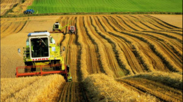 AKP'den 'toz pembe' tarım raporu