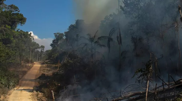 İnsanlık, Amazon'u karbon çukurundan bir kaynağa dönüştürdü