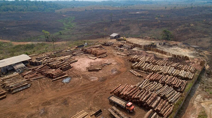 Amazonlar'da ormansızlaşma son 15 yılın en yüksek seviyesinde