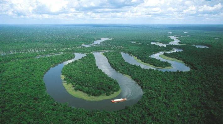 Amazonlar'da "ölüm sarmalı" tehlikesi