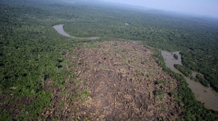 Amazonlar'da tahribat büyüyor: Ormansızlaşmada yüzde 64 artış