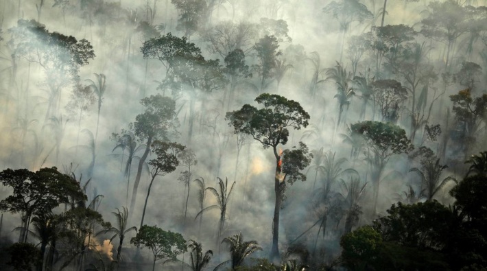 Amazonlar'daki orman kaybı son 12 yılın en yüksek düzeyinde
