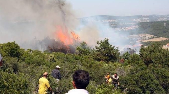 Anadolu Kavağı'ndaki orman yangını kontrol altına alındı