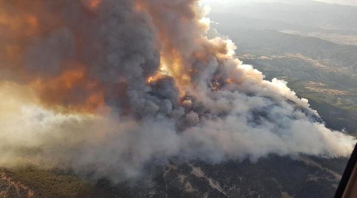 Ankara'da orman yangını: Saatlerdir müdahale sürüyor
