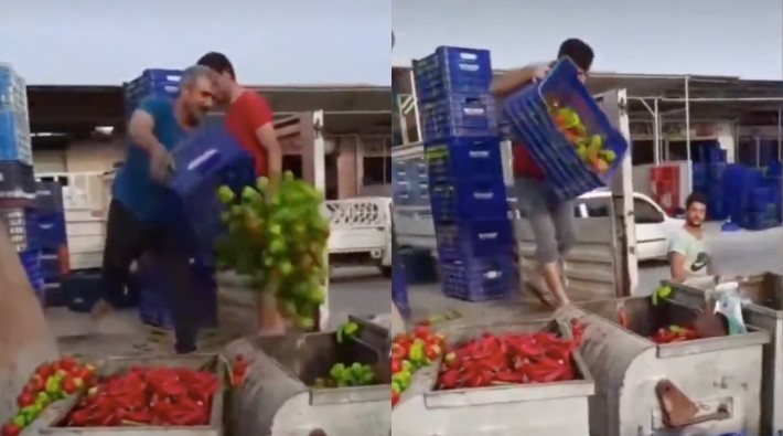 Antalya'da üreticiler isyan etti: 'Para etmeyen' tonlarca kilo sebzeyi çöpe döktüler