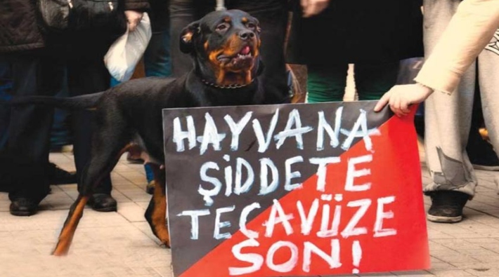 Antalya'da bir köpeğe tecavüz eden erkek gözaltına alındı