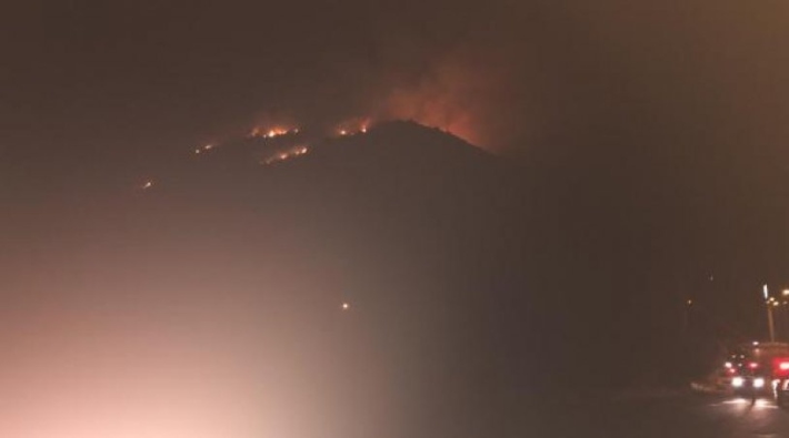 Antalya'da orman yangını: Kontrol altına alındı, söndürme çalışmaları sürüyor