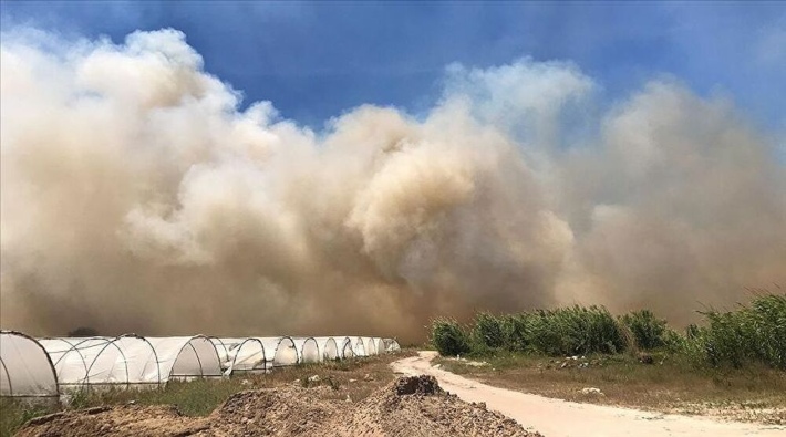 Antalya'da sazlık yangını 3 saatte söndürüldü