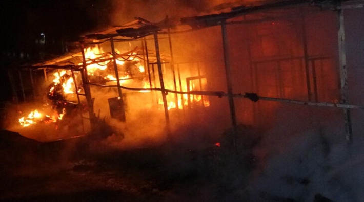 Atatürk Kent Ormanı’nda yangın: 10 at hayatını kaybetti