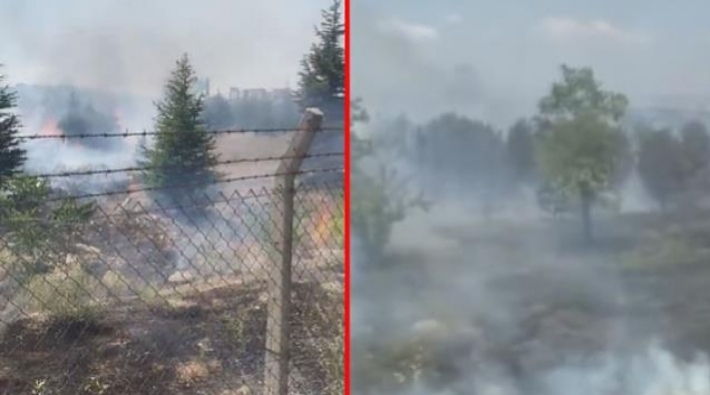 Atatürk Orman Çiftliği arazisinde yangın: İki gözaltı
