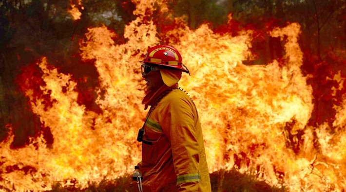 Avustralya'daki yangınlar, bazı türlerin soyunu tamamen kurutmuş olabilir!