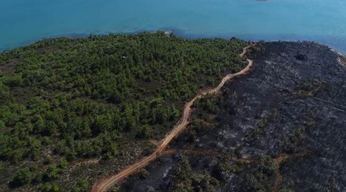 Ayvalık'ta yanan ormanlık alan havadan görüntülendi: 'Sabotaj olabilir'