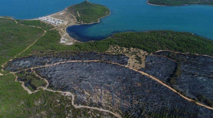 Bakan Eroğlu: Ayvalık'taki yangında sabotaj ihtimali üzerinde duruyoruz