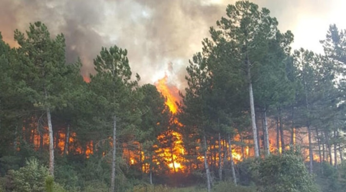 Bakanlık 874 orman yangınında uçak kullanmayı 'gerekli' görmemiş!