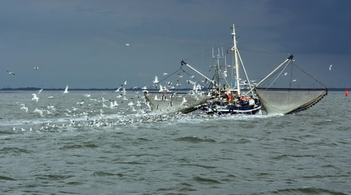 Kasım-aralık ayında balıkçılık bitebilir